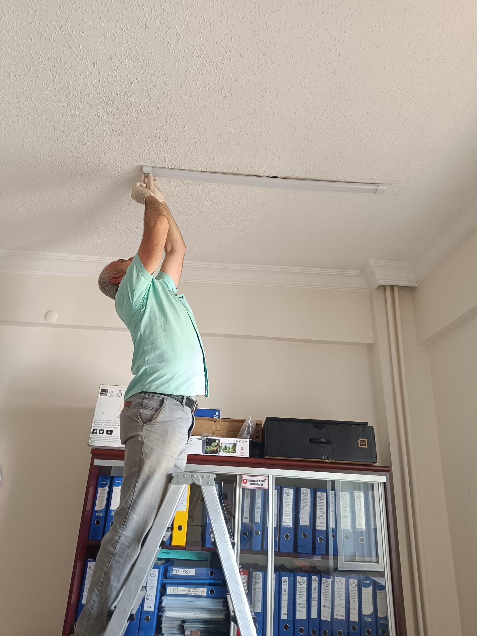 Proje